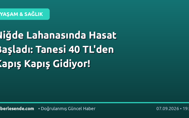 Niğde Lahanasında Hasat Başladı: Tanesi 40 TL'den Kapış Kapış Gidiyor!
