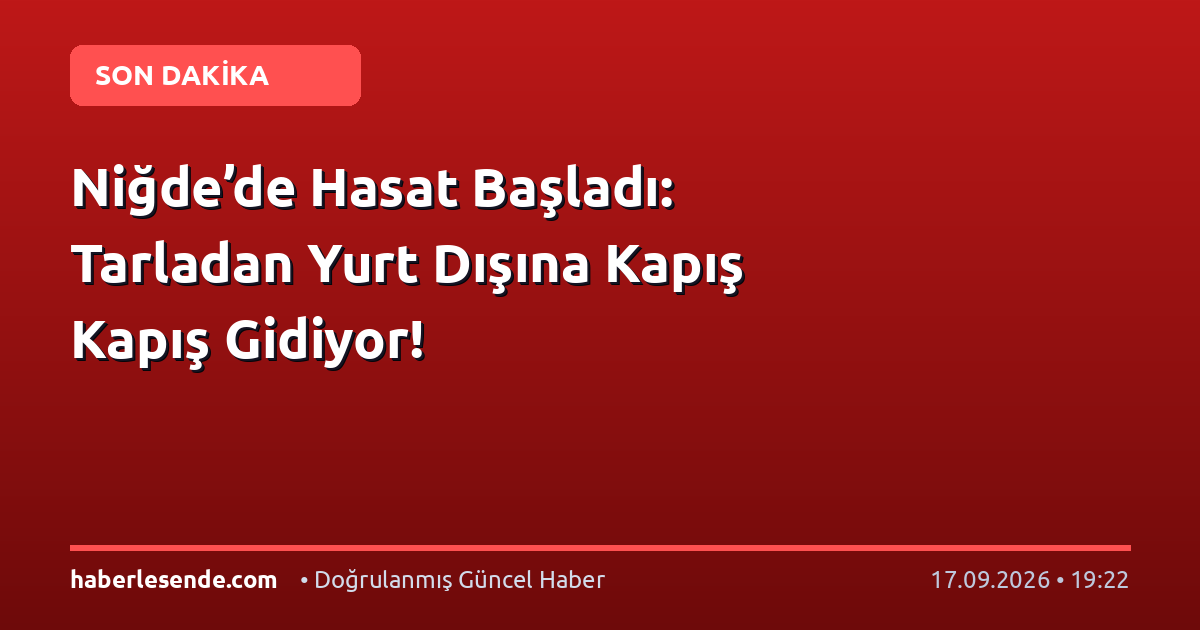 Niğde’de Hasat Başladı: Tarladan Yurt Dışına Kapış Kapış Gidiyor!