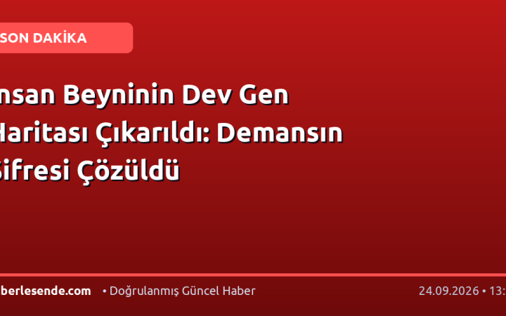 İnsan Beyninin Dev Gen Haritası Çıkarıldı: Demansın Şifresi Çözüldü