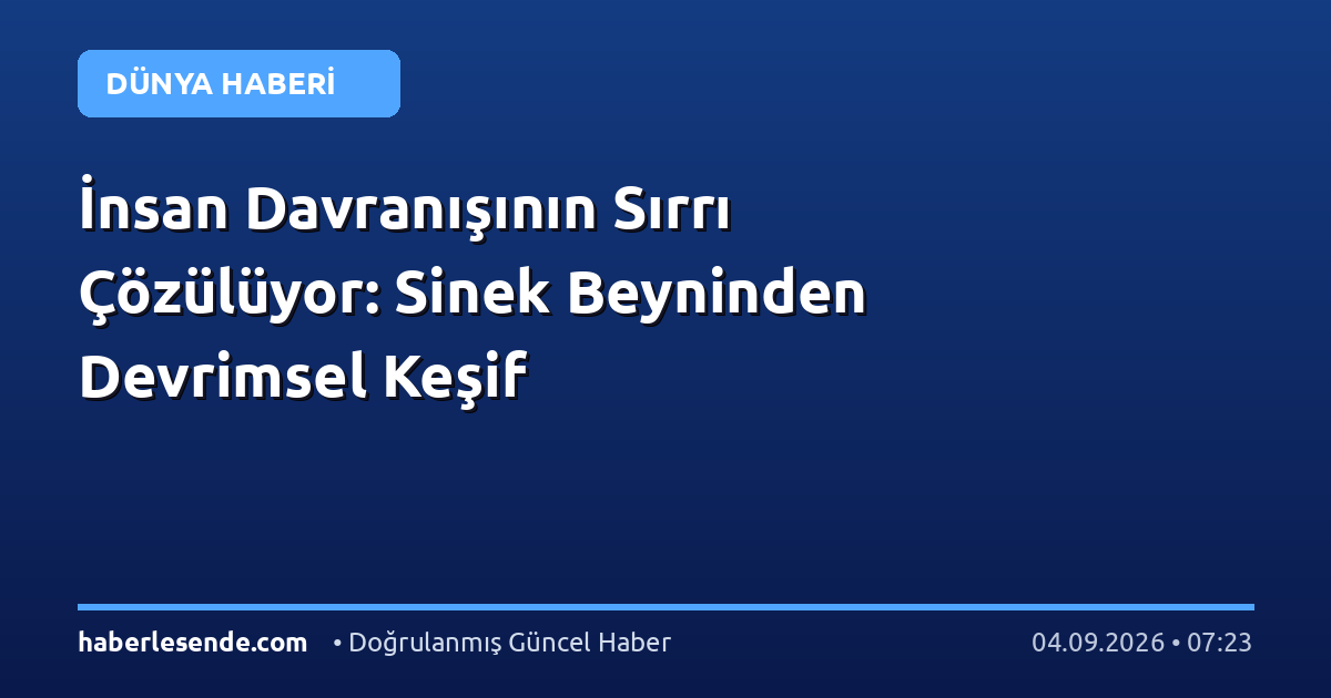 İnsan Davranışının Sırrı Çözülüyor: Sinek Beyninden Devrimsel Keşif