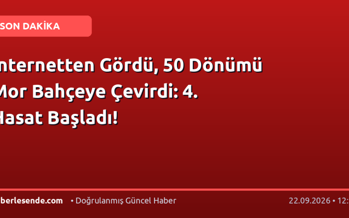 İnternetten Gördü, 50 Dönümü Mor Bahçeye Çevirdi: 4. Hasat Başladı!