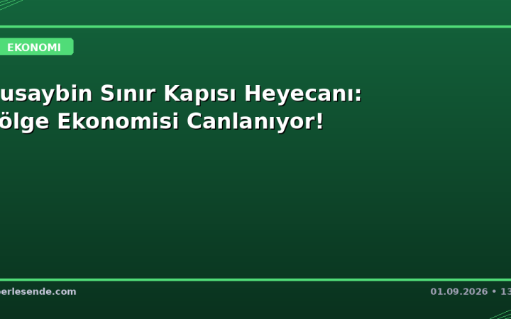 Nusaybin Sınır Kapısı Heyecanı: Bölge Ekonomisi Canlanıyor!