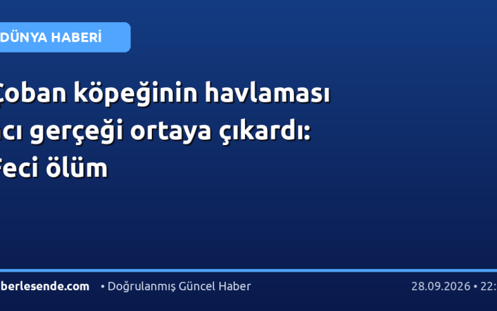 Çoban köpeğinin havlaması acı gerçeği ortaya çıkardı: Feci ölüm