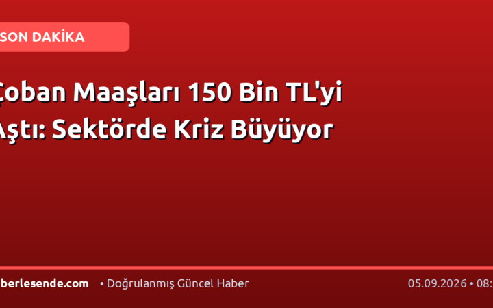 Çoban Maaşları 150 Bin TL'yi Aştı: Sektörde Kriz Büyüyor