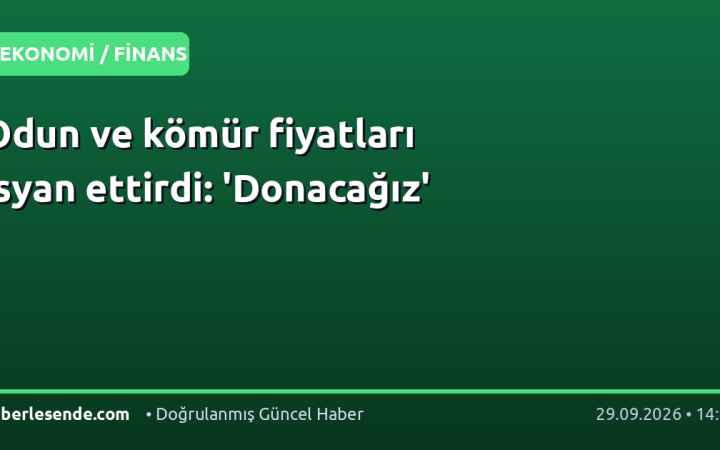 Odun ve kömür fiyatları isyan ettirdi: 'Donacağız'
