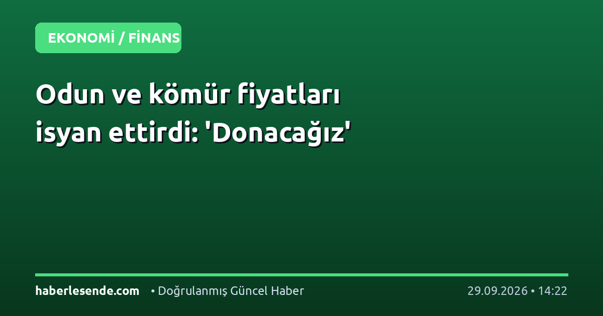 Odun ve kömür fiyatları isyan ettirdi: 'Donacağız'