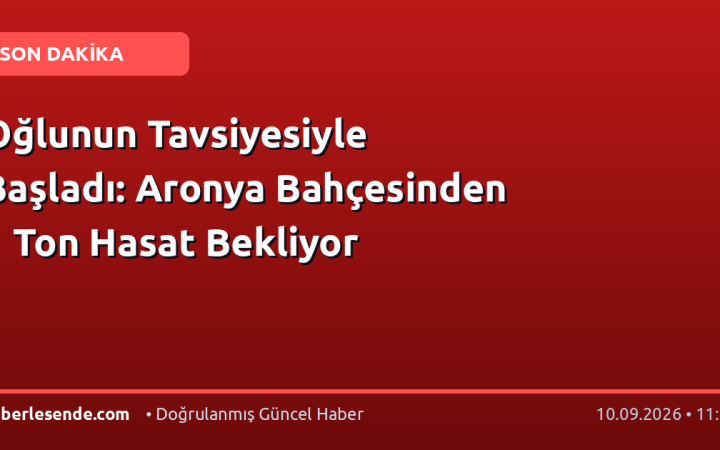Oğlunun Tavsiyesiyle Başladı: Aronya Bahçesinden 1 Ton Hasat Bekliyor