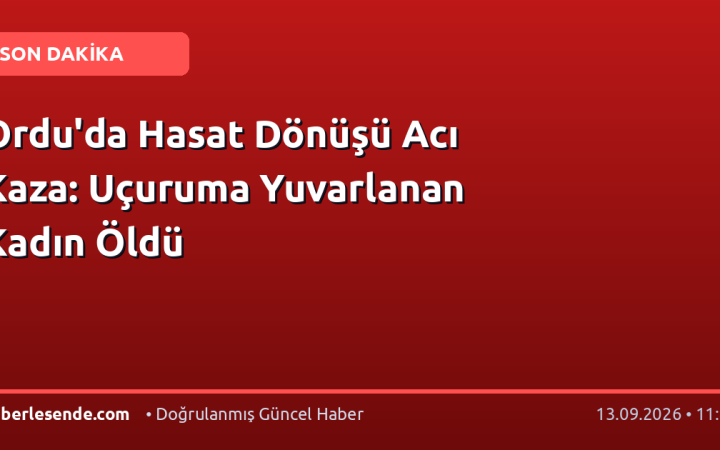 Ordu'da Hasat Dönüşü Acı Kaza: Uçuruma Yuvarlanan Kadın Öldü