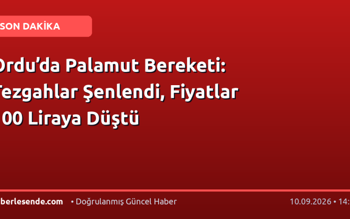 Ordu’da Palamut Bereketi: Tezgahlar Şenlendi, Fiyatlar 100 Liraya Düştü