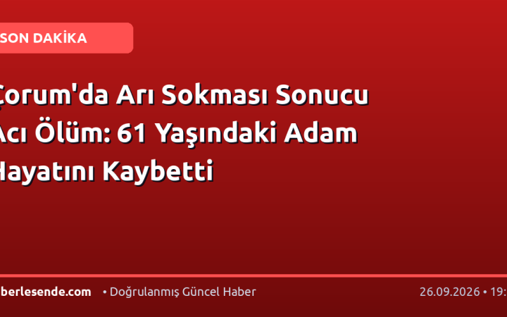 Çorum'da Arı Sokması Sonucu Acı Ölüm: 61 Yaşındaki Adam Hayatını Kaybetti