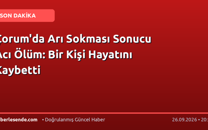 Çorum'da Arı Sokması Sonucu Acı Ölüm: Bir Kişi Hayatını Kaybetti