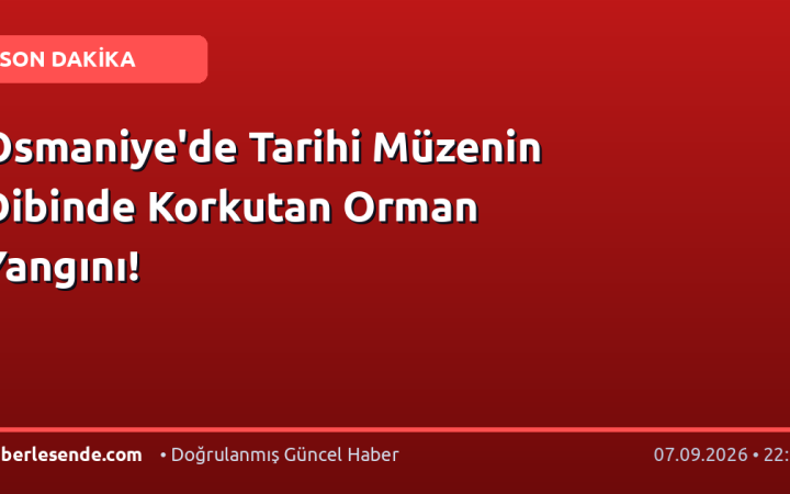 Osmaniye'de Tarihi Müzenin Dibinde Korkutan Orman Yangını!