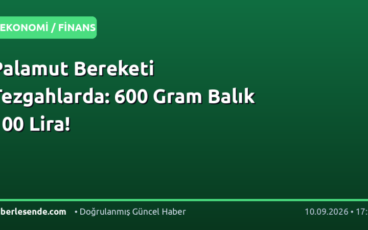 Palamut Bereketi Tezgahlarda: 600 Gram Balık 100 Lira!