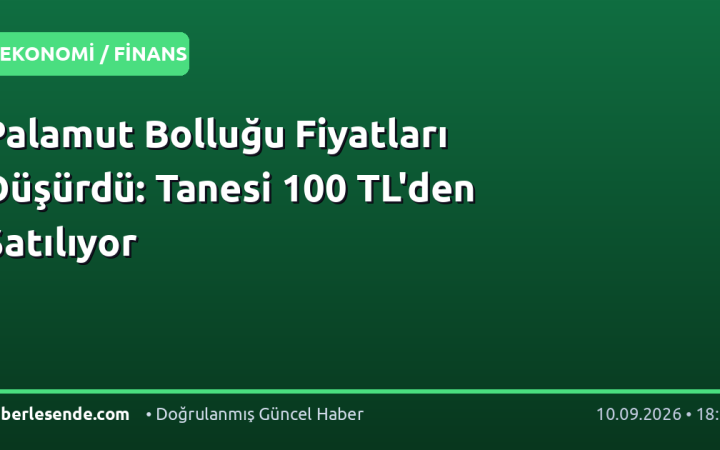 Palamut Bolluğu Fiyatları Düşürdü: Tanesi 100 TL'den Satılıyor