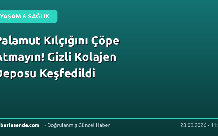 Palamut Kılçığını Çöpe Atmayın! Gizli Kolajen Deposu Keşfedildi