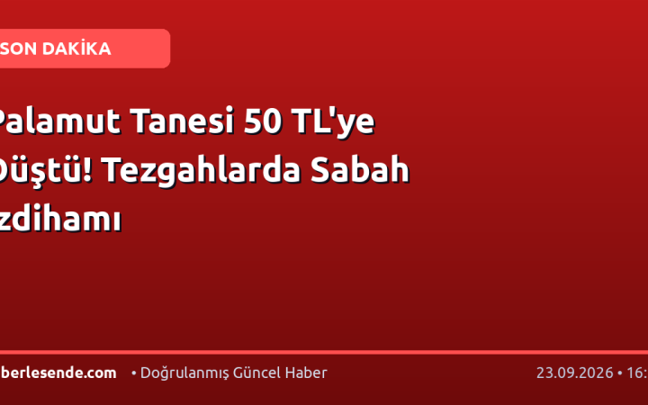 Palamut Tanesi 50 TL'ye Düştü! Tezgahlarda Sabah İzdihamı