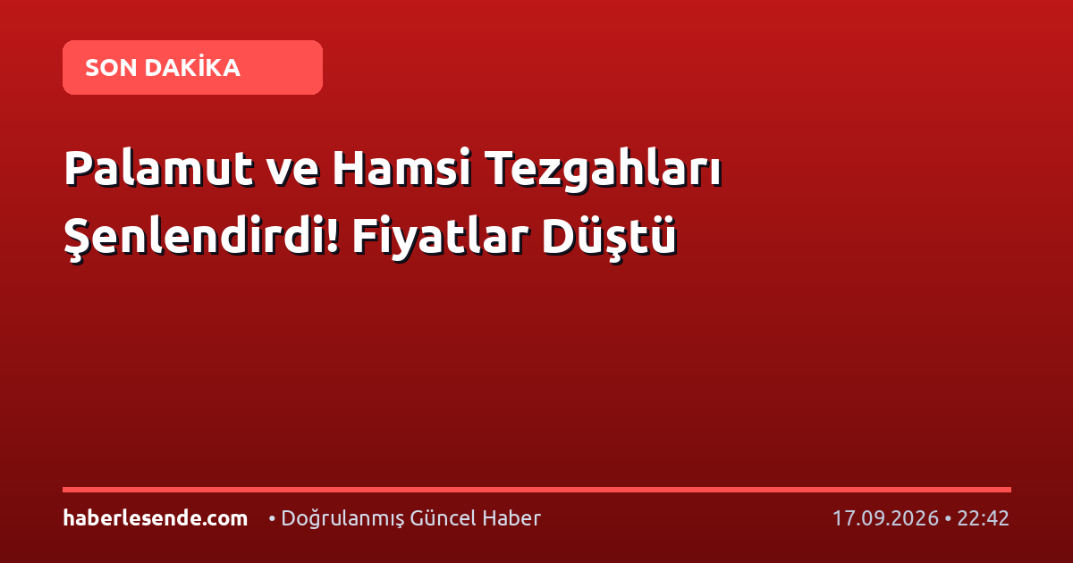 Palamut ve Hamsi Tezgahları Şenlendirdi! Fiyatlar Düştü