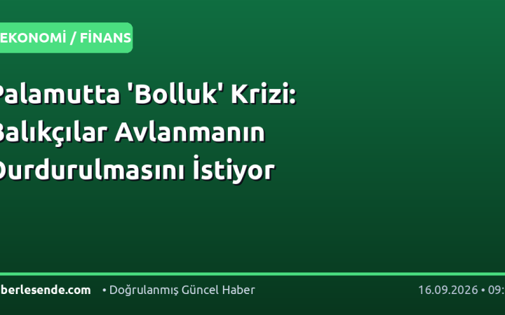 Palamutta 'Bolluk' Krizi: Balıkçılar Avlanmanın Durdurulmasını İstiyor