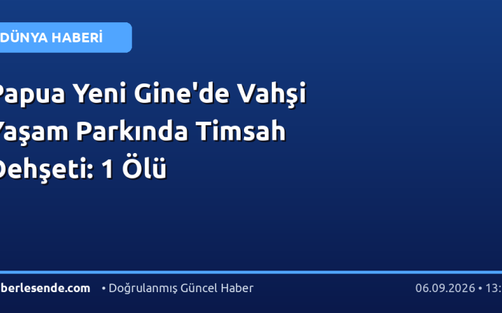 Papua Yeni Gine'de Vahşi Yaşam Parkında Timsah Dehşeti: 1 Ölü