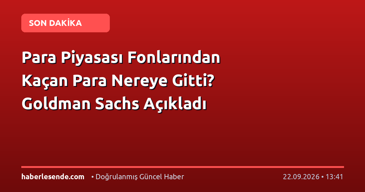 Para Piyasası Fonlarından Kaçan Para Nereye Gitti? Goldman Sachs Açıkladı