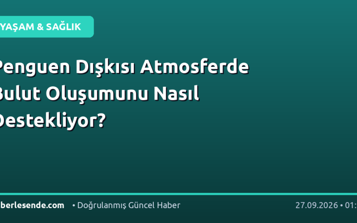 Penguen Dışkısı Atmosferde Bulut Oluşumunu Nasıl Destekliyor?