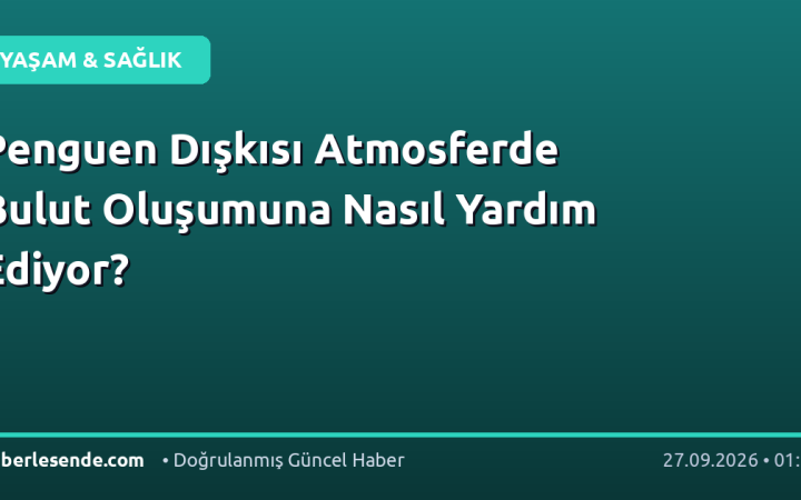 Penguen Dışkısı Atmosferde Bulut Oluşumuna Nasıl Yardım Ediyor?