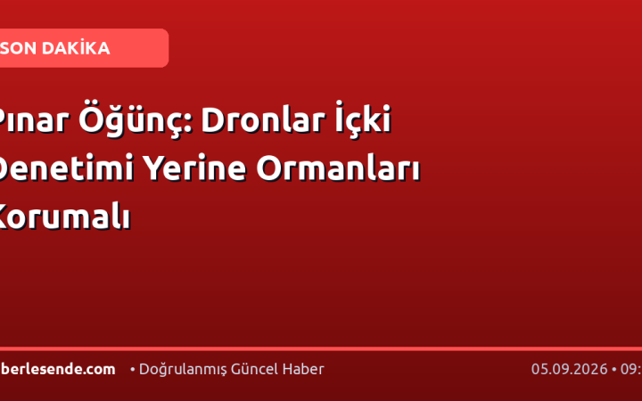 Pınar Öğünç: Dronlar İçki Denetimi Yerine Ormanları Korumalı