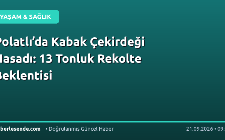Polatlı’da Kabak Çekirdeği Hasadı: 13 Tonluk Rekolte Beklentisi