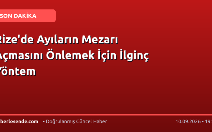 Rize'de Ayıların Mezarı Açmasını Önlemek İçin İlginç Yöntem