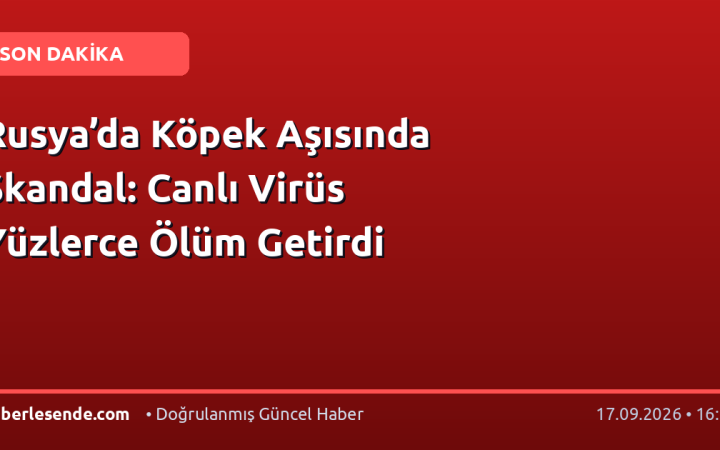 Rusya’da Köpek Aşısında Skandal: Canlı Virüs Yüzlerce Ölüm Getirdi