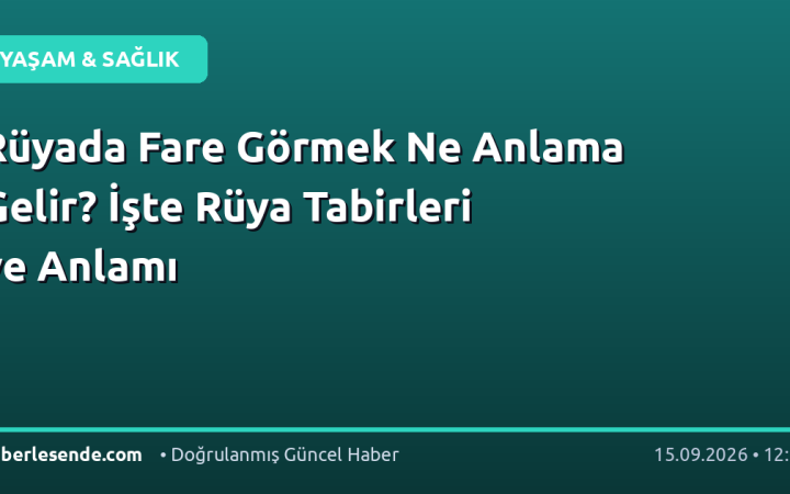 Rüyada Fare Görmek Ne Anlama Gelir? İşte Rüya Tabirleri ve Anlamı