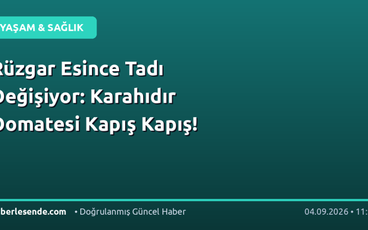 Rüzgar Esince Tadı Değişiyor: Karahıdır Domatesi Kapış Kapış!