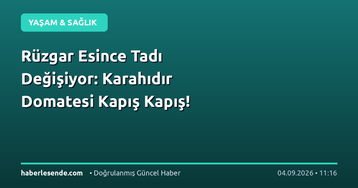 Rüzgar Esince Tadı Değişiyor: Karahıdır Domatesi Kapış Kapış!