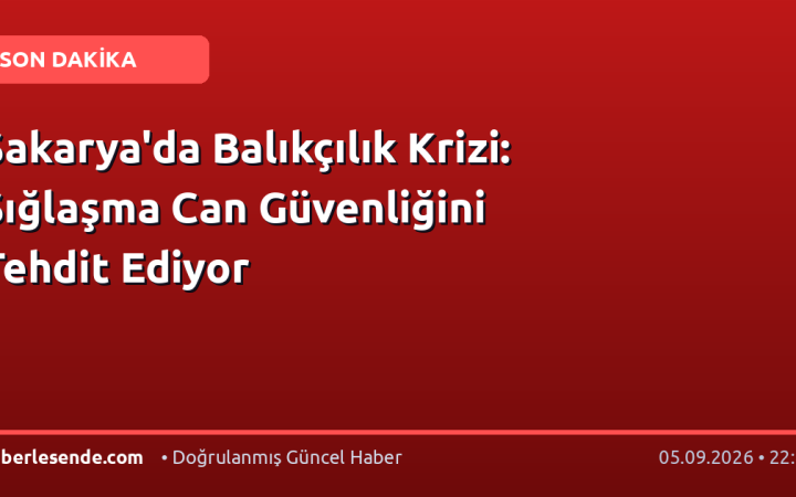 Sakarya'da Balıkçılık Krizi: Sığlaşma Can Güvenliğini Tehdit Ediyor
