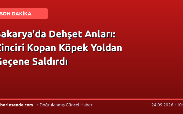 Sakarya'da Dehşet Anları: Zinciri Kopan Köpek Yoldan Geçene Saldırdı