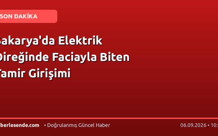 Sakarya'da Elektrik Direğinde Faciayla Biten Tamir Girişimi