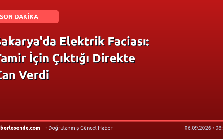 Sakarya'da Elektrik Faciası: Tamir İçin Çıktığı Direkte Can Verdi