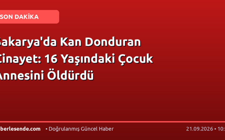 Sakarya'da Kan Donduran Cinayet: 16 Yaşındaki Çocuk Annesini Öldürdü