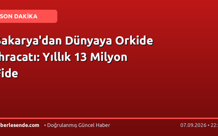 Sakarya'dan Dünyaya Orkide İhracatı: Yıllık 13 Milyon Fide