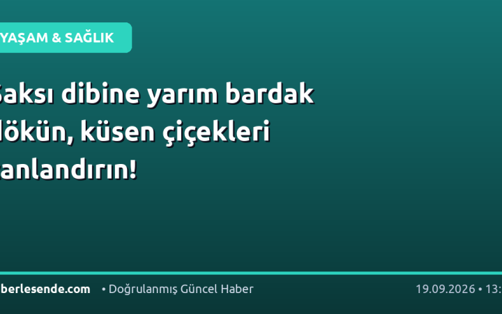 Saksı dibine yarım bardak dökün, küsen çiçekleri canlandırın!