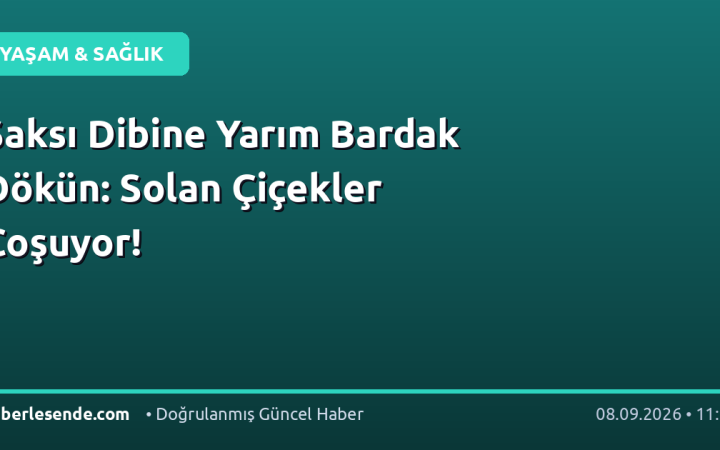 Saksı Dibine Yarım Bardak Dökün: Solan Çiçekler Coşuyor!