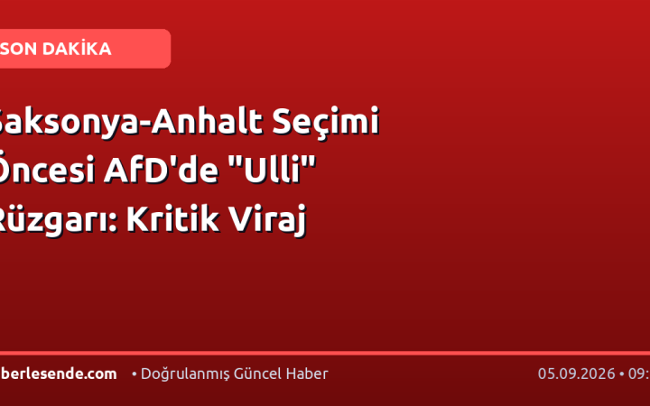 Saksonya-Anhalt Seçimi Öncesi AfD'de "Ulli" Rüzgarı: Kritik Viraj