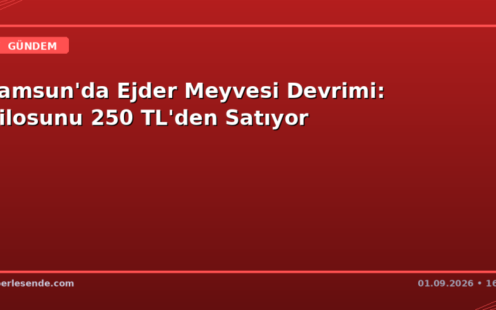 Samsun'da Ejder Meyvesi Devrimi: Kilosunu 250 TL'den Satıyor