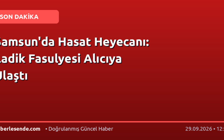 Samsun'da Hasat Heyecanı: Ladik Fasulyesi Alıcıya Ulaştı