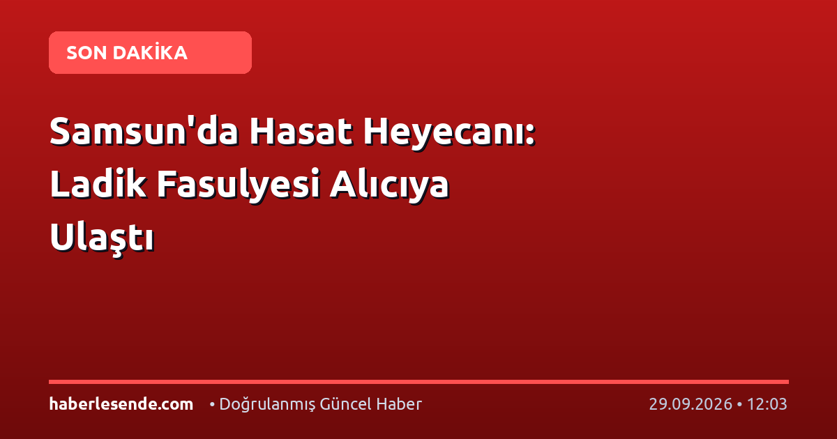 Samsun'da Hasat Heyecanı: Ladik Fasulyesi Alıcıya Ulaştı