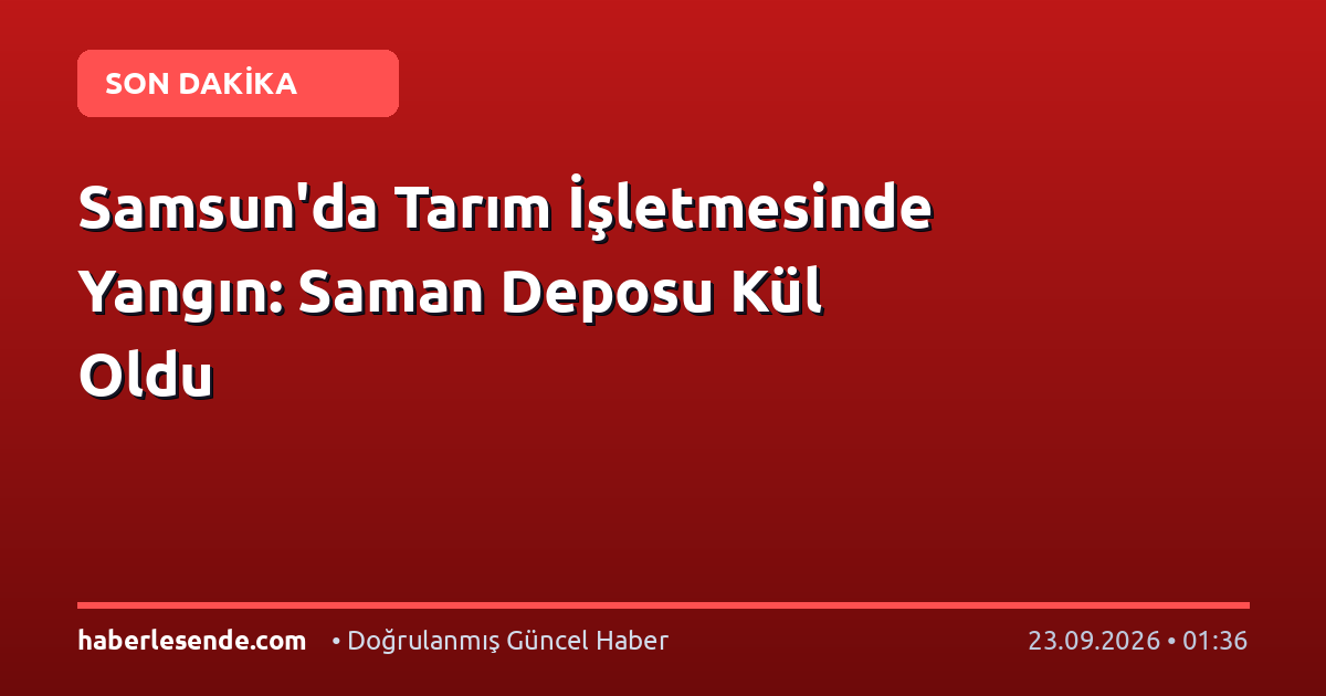 Samsun'da Tarım İşletmesinde Yangın: Saman Deposu Kül Oldu
