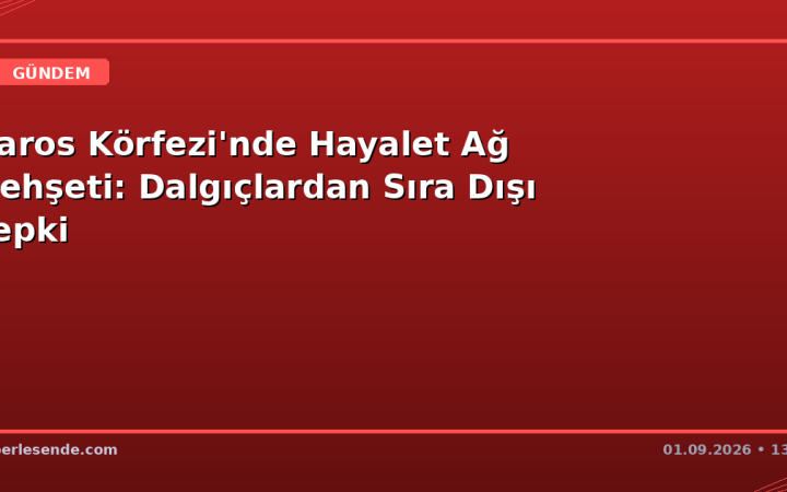 Saros Körfezi'nde Hayalet Ağ Dehşeti: Dalgıçlardan Sıra Dışı Tepki