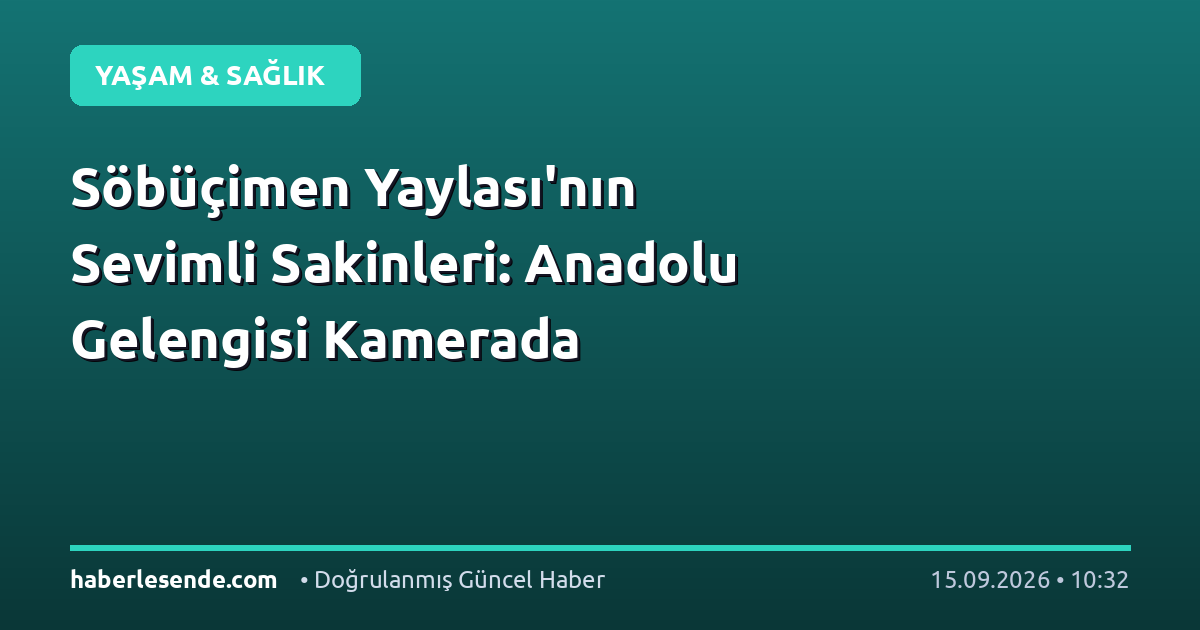 Söbüçimen Yaylası'nın Sevimli Sakinleri: Anadolu Gelengisi Kamerada