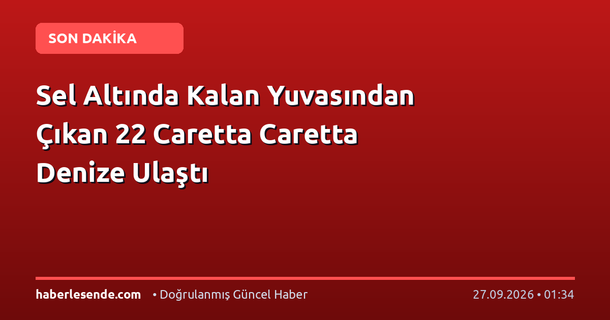 Sel Altında Kalan Yuvasından Çıkan 22 Caretta Caretta Denize Ulaştı