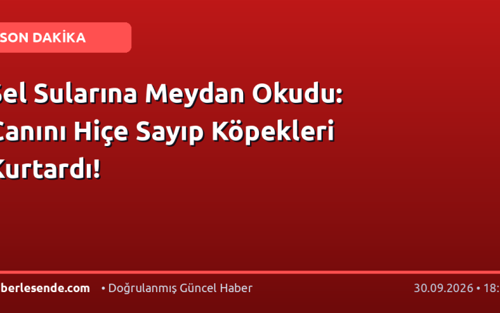 Sel Sularına Meydan Okudu: Canını Hiçe Sayıp Köpekleri Kurtardı!